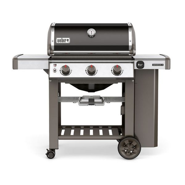 Genesis II E-310 GBS