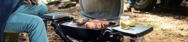 Weber Gasgrills Q Serie