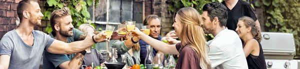 Weber Gasgrills Genesis Modelle