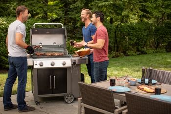 Weber Grill Gasgrill Genesis II E-315