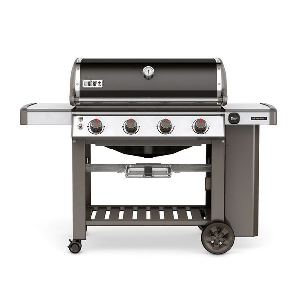 Genesis II E-410 GBS