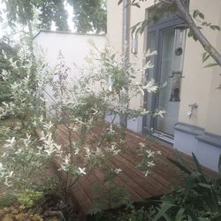 Kebony Terrassenmontage