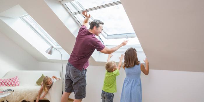 Insektenschutz für Dachfenster, Ziller Nürnberg