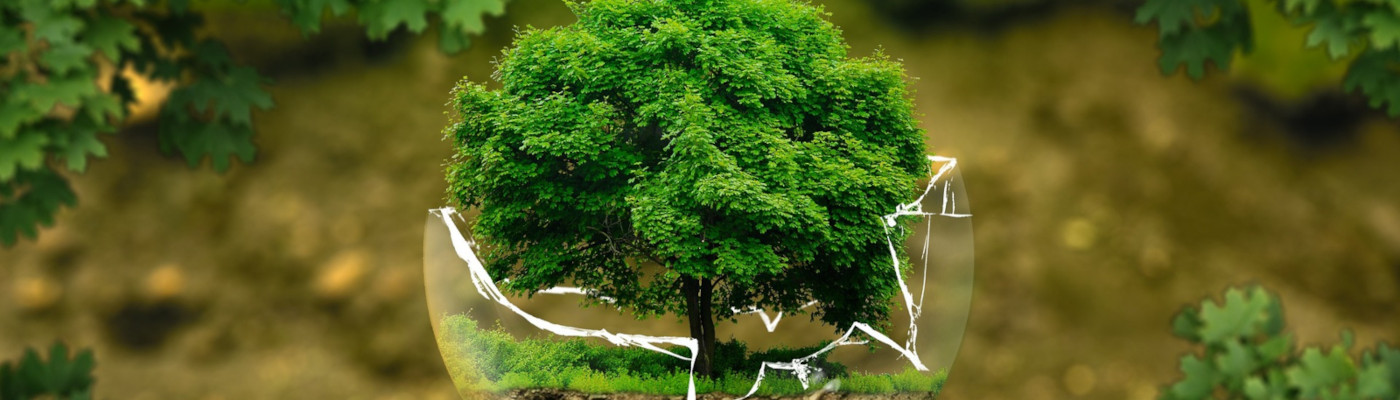 Umweltfreundliches Bioethanol, Ziller Nürnberg