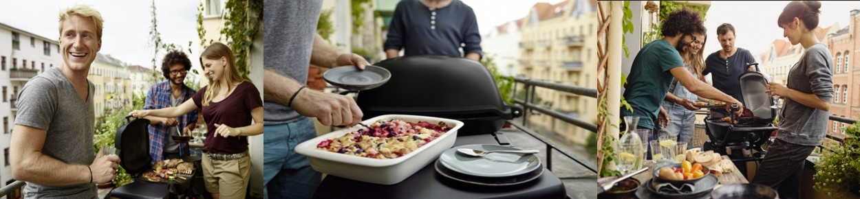 Elektrogrill von Weber kaufen in Nürnberg