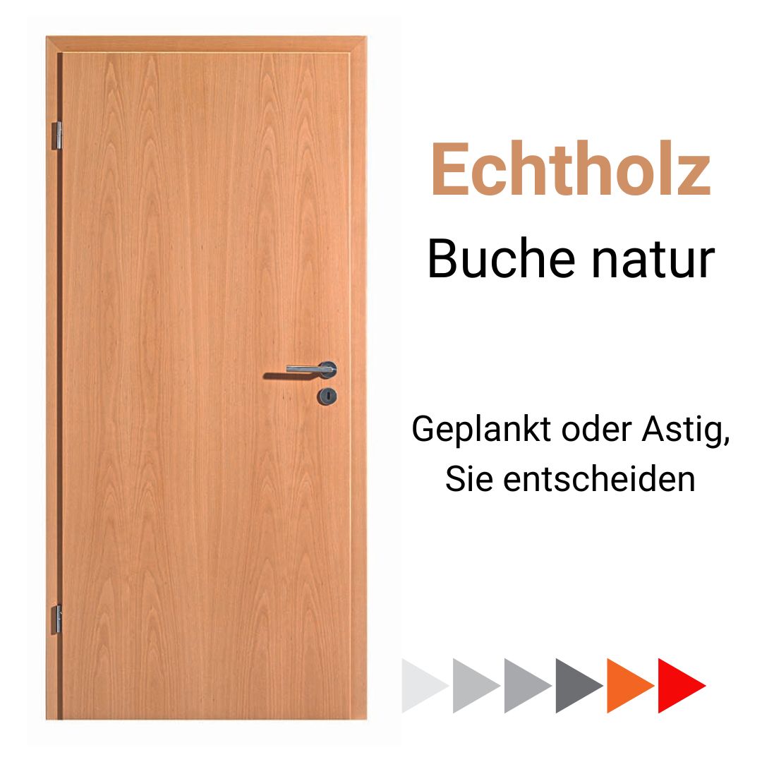 HGM Echtholztür Buche natur